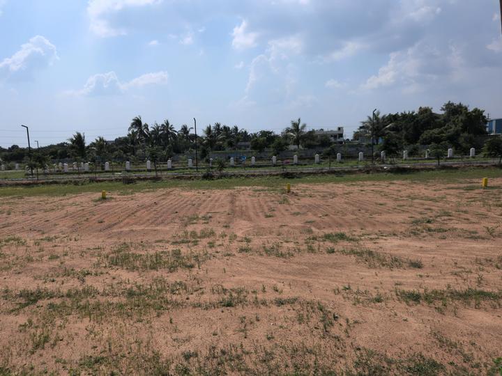 Shadnagar Plot View 1