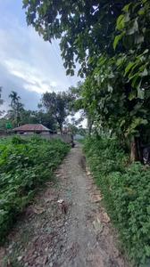 Pelku Plot View 3