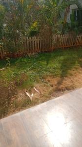 Image of 2900 Sq.ft 3 BHK Villa for sale in The Address The Gran Carmen Address, Chikkabellandur, Bengaluru for Rs. 51000000