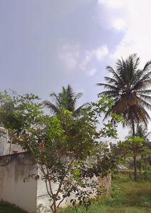 Image of 1995 Sq.ft 1 BHK Independent House for sale in Bheemasandra, Tumkur for Rs. 4500000