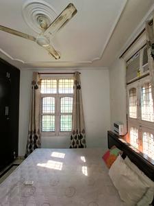 Hall Image of 1100 Sq.ft 2 BHK Builder Floor for rent in HUDA Plot Sector 40, Sector 40 Gurgaon for Rs. 36000