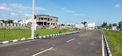 New Market Plot View 2