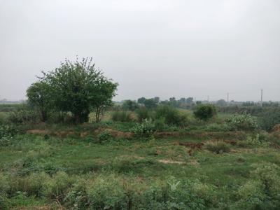 Image of 1152 Sq.ft Residential Plot / Land for sale in Tajupur, Faridabad for Rs. 17000000