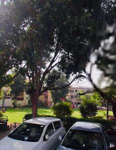 Image of 2250 Sq.ft 9 BHK Independent House for sale in Sector 35, Chandigarh for Rs. 95000000