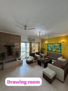 Hall Image of 1925 Sq.ft 4 BHK Independent House for rent in Sector 7 Gurgaon for Rs. 35000