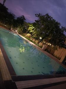 Balcony Image of 560 Sq.ft 1 BHK Apartment / Flat for sale in Ambivli Thane for Rs. 4300000