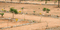 Govind Aashray Plot View 2