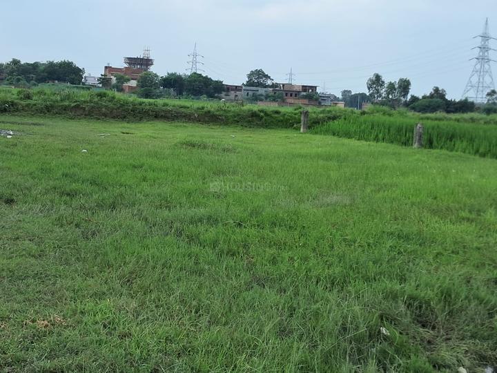 Tilamapur Main Image 1