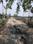 Bhasa Eco Village Internal Roads 1