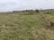 BHAGYA NAGAR Plot View 2