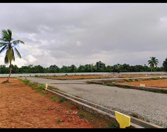 Bhogapuram Main Image 1