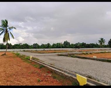 Bhogapuram Plot View 1