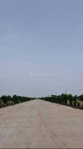 Image of 1100 Sq.ft 2 BHK Independent House for sale in Gulmohar Greens, Doma-1, Raipur for Rs. 4682251