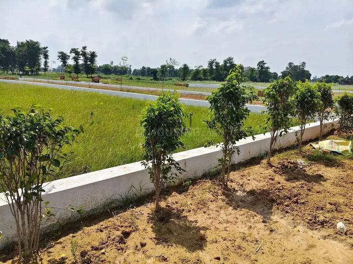 Green City Main Image 1