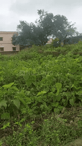 Image of 4356 Sq.ft Residential Plot / Land for sale in Namkum, Ranchi for Rs. 9000000
