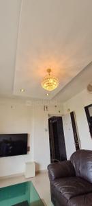 Hall Image of 1000 Sq.ft 2 BHK Apartment / Flat for rent in Satpur Nashik for Rs. 21000