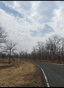 Image of 3000 Sq.ft Residential Plot / Land for sale in Nildoh, Nagpur for Rs. 1230000