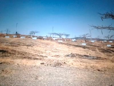 Image of 1089 Sq.ft Residential Plot / Land for sale in Pen, Raigad for Rs. 195000
