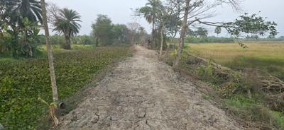 Residential Plot