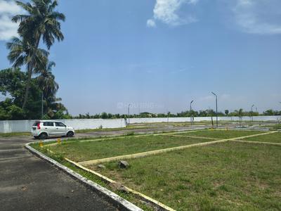 Tulip Garden Plot View 2