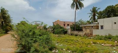Image of 2376 Sq.ft Residential Plot / Land for sale in Thalpagiri Colony, Nellore for Rs. 6200000