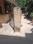 Suhas nagar Main Image 1