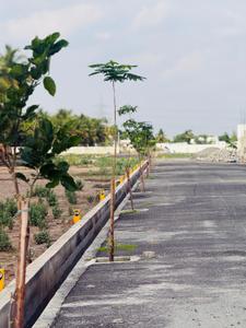 Chamundi Sunrise Valley Plot View 3