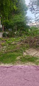 Image of 4500 Sq.ft Residential Plot / Land for sale in South City, Lucknow for Rs. 33700000