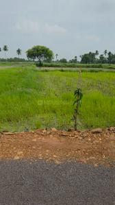 Image of 6300 Sq.ft Residential Plot / Land for sale in Datrenga, Raipur for Rs. 3465000