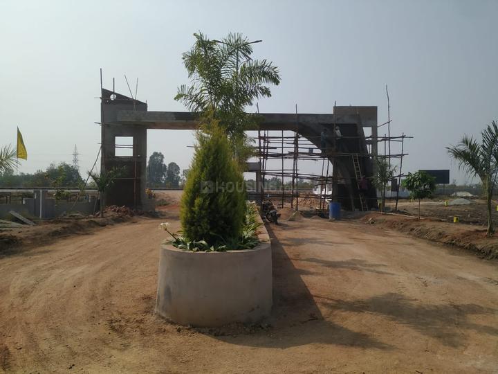 Virtusa Celosia Nest Main Image 1