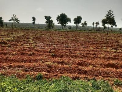 Image of 59895 Sq.ft Residential Plot / Land for sale in Murbad, Thane for Rs. 7750000