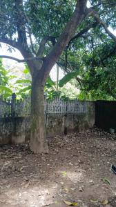 Image of 850 Sq.ft 2 BHK Villa for sale in Thrikkakara North, Kochi for Rs. 5200000