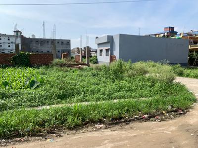 Selakui Plot View 1