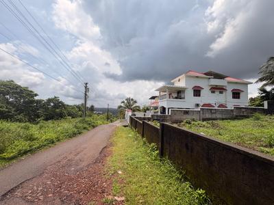 Dashrath Nagar Manipal Plot View 2