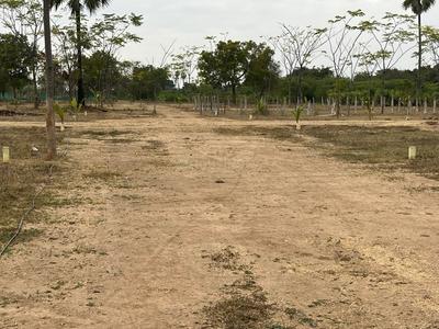 Agricultural Land
