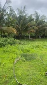 Image of 10890 Sq.ft Residential Plot / Land for sale in Kundapura, Udupi for Rs. 4500000