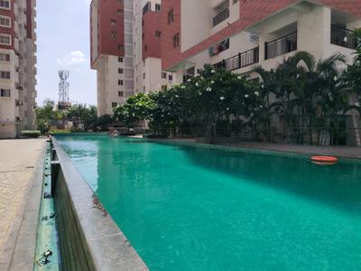 Swimming Pool Image of 1400 Sq.ft 2.5 BHK Apartment / Flat for rent in Porur Chennai for Rs. 50000