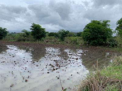 Bhadrakali Plot View 2