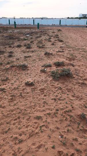 Kovilpatti Main Image 1