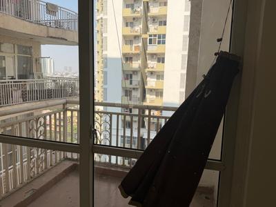 Balcony Image of 1600 Sq.ft 3 BHK Apartment / Flat for rent in Amrapali Sapphire, Sector 45 Noida for Rs. 40000