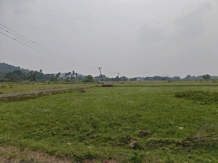 Singaperumal Koil Main Image 1