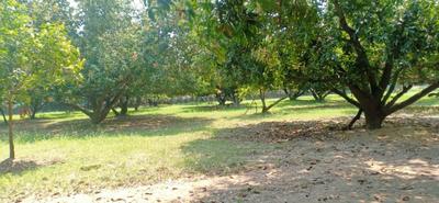 Image of 21600 Sq.ft Residential Plot / Land for sale in Panaiyur, Sholinganallur, Chennai for Rs. 200000000