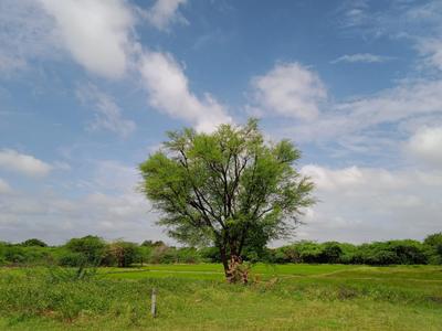Mahbubnagar Town Plot View 3