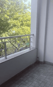 Balcony Image of 1000 Sq.ft 2 BHK Builder Floor for rent in Ruchi Lifescapes Apartment, Jatkhedi Bhopal for Rs. 13000