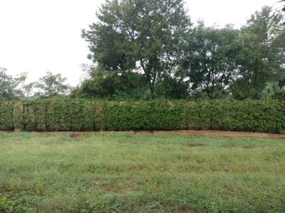 Image of 150 Sq.ft Residential Plot / Land for sale in Mansha Oaks, Sector 98, Faridabad for Rs. 21000000
