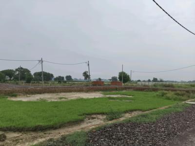 Image of 50 Sq.ft Residential Plot / Land for sale in Dadri, Greater Noida for Rs. 1500540