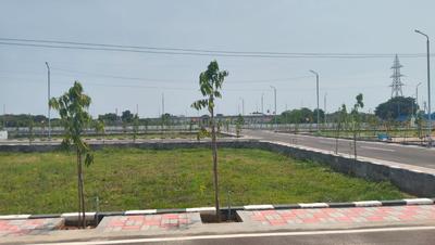 Residential Plot