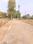 Panagar Plot View 2