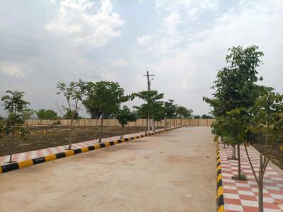 Residential Plot