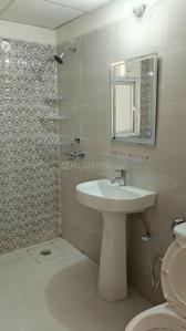 Bathroom Image of 1221 Sq.ft 2.5 BHK Apartment / Flat for rent in Amrapali Verona Heights, Noida Extension Greater Noida for Rs. 19000